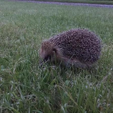 Chateau De Plessier-roza Le Plessier-Rozainvillers